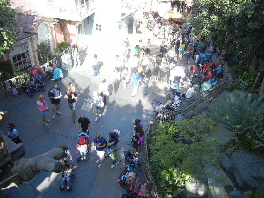 Disneyland Tarzan's Treehouse Picture